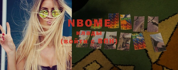 индика Заводоуковск