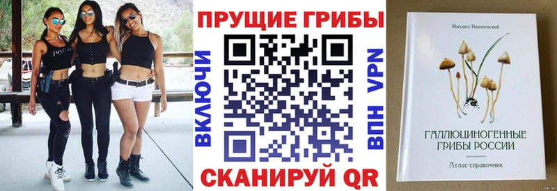 Галлюциногенные грибы Cubensis  Купить где  Армавир 